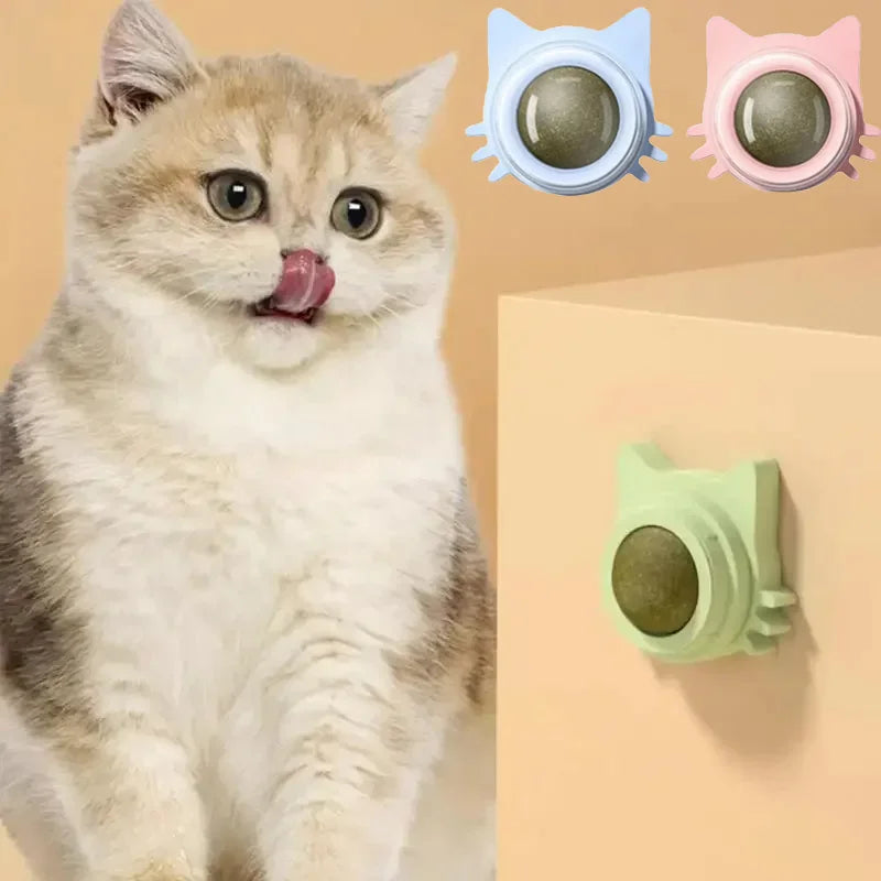 Catnip Fun Balls for Cats