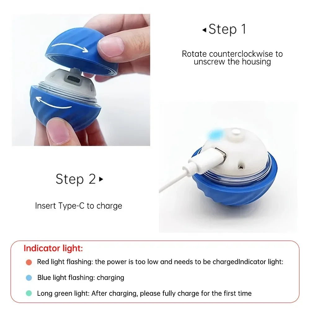 Interactive Smart Dog Toy Bal