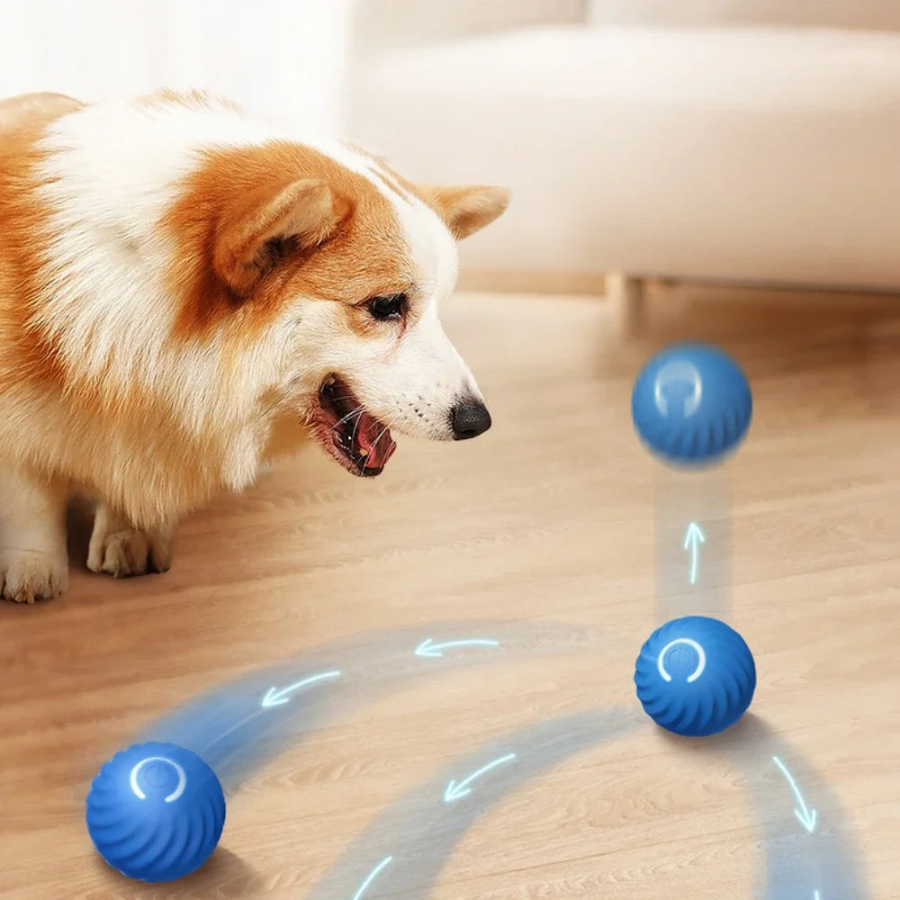 Interactive Smart Dog Toy Bal