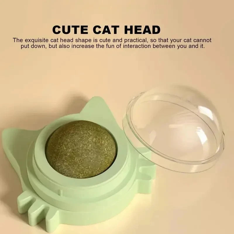 Catnip Fun Balls for Cats