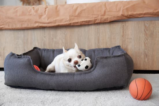 Electric Rolling Ball Toy